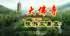 香蕉视频大屌干大屌爽中国浙江-新昌大佛寺旅游风景区